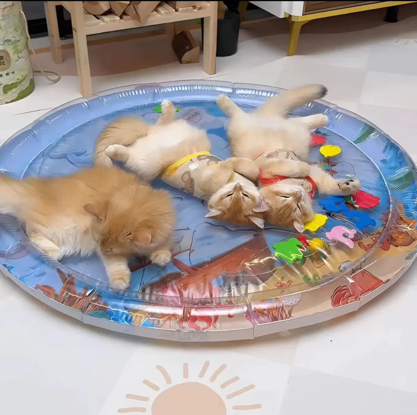 Joyful Paws AquaPlay Mat